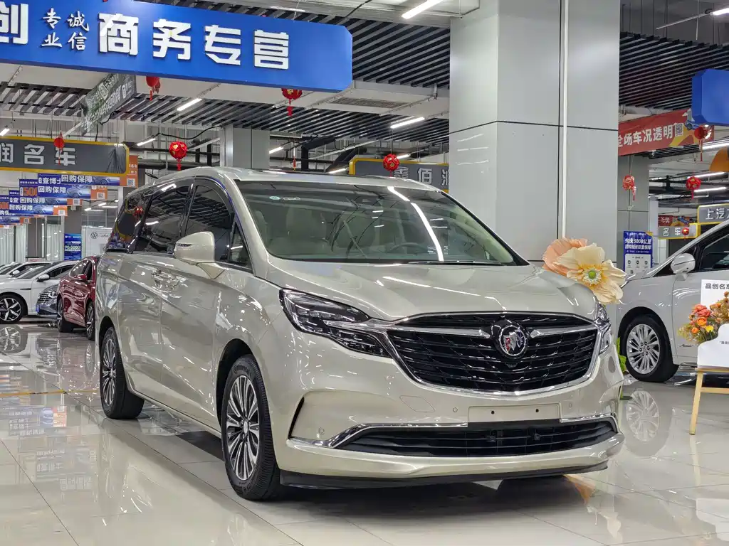 Buick GL8 — миниатюра 3