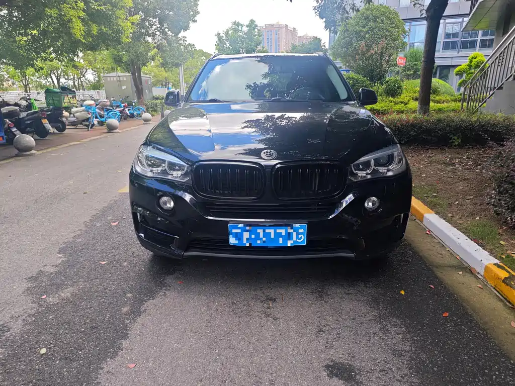 BMW X5 (Import) — миниатюра 2