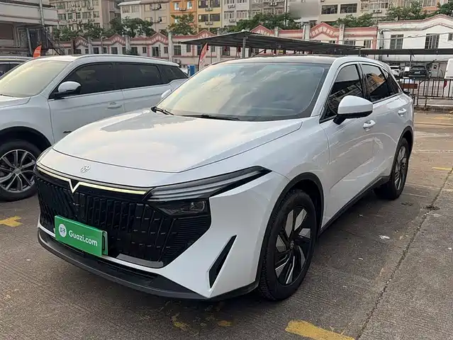 QICHEN  BIG V DD I 2023