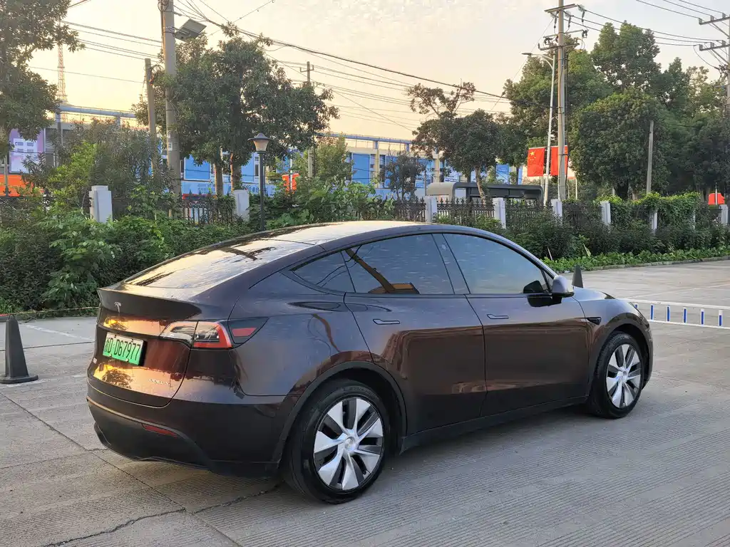 Tesla Model Y — миниатюра 6