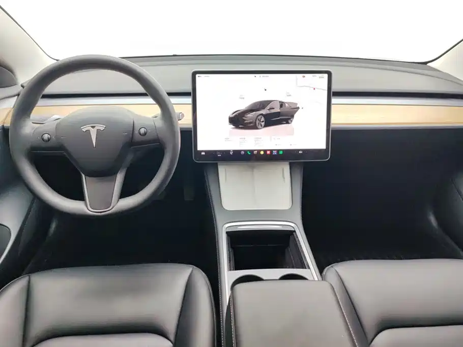 Tesla Model 3 — миниатюра 12