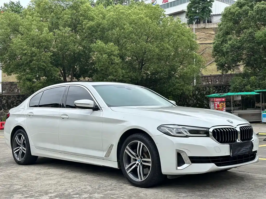 BMW 5 Series 5 2021 530Li Lead Luxury