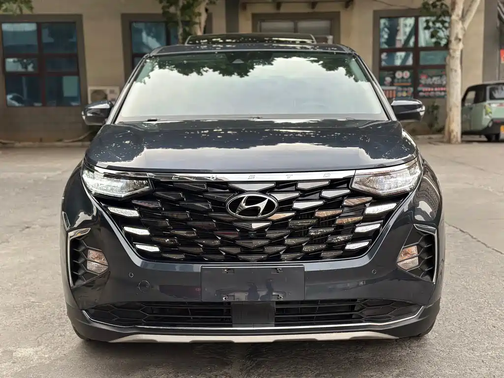 Hyundai Custo — миниатюра 2