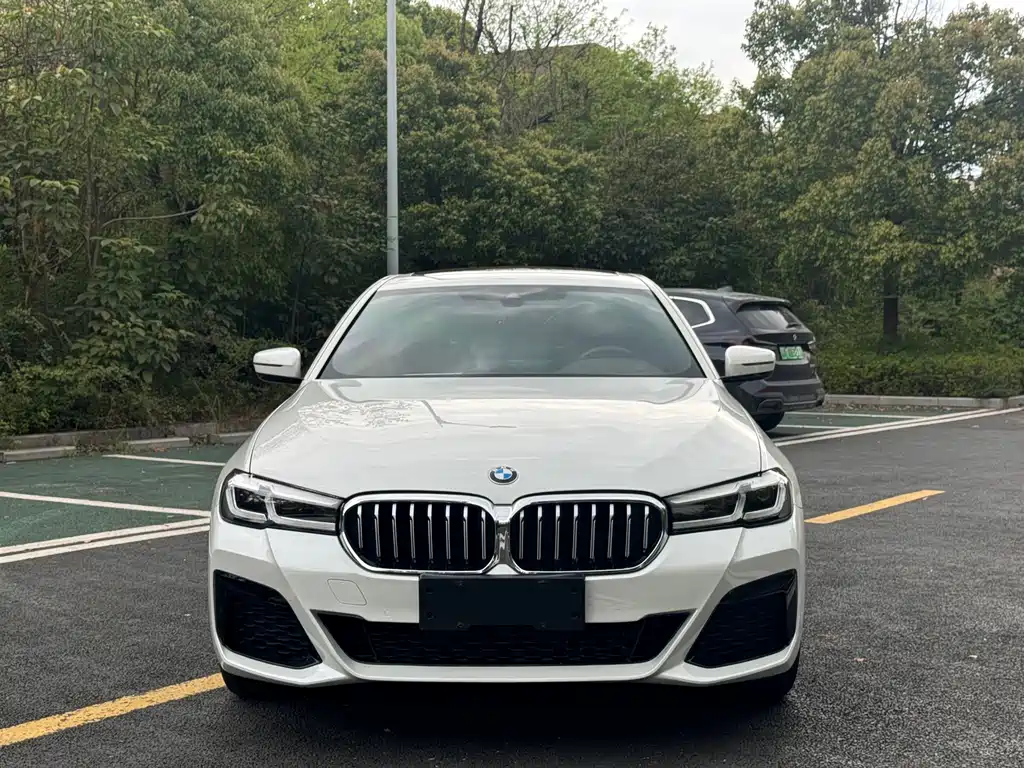 BMW 5 Series 5 2021 530Li Lead M Sport