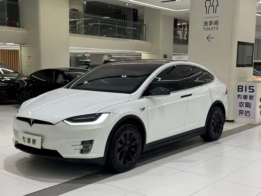 Tesla Model X — миниатюра 17