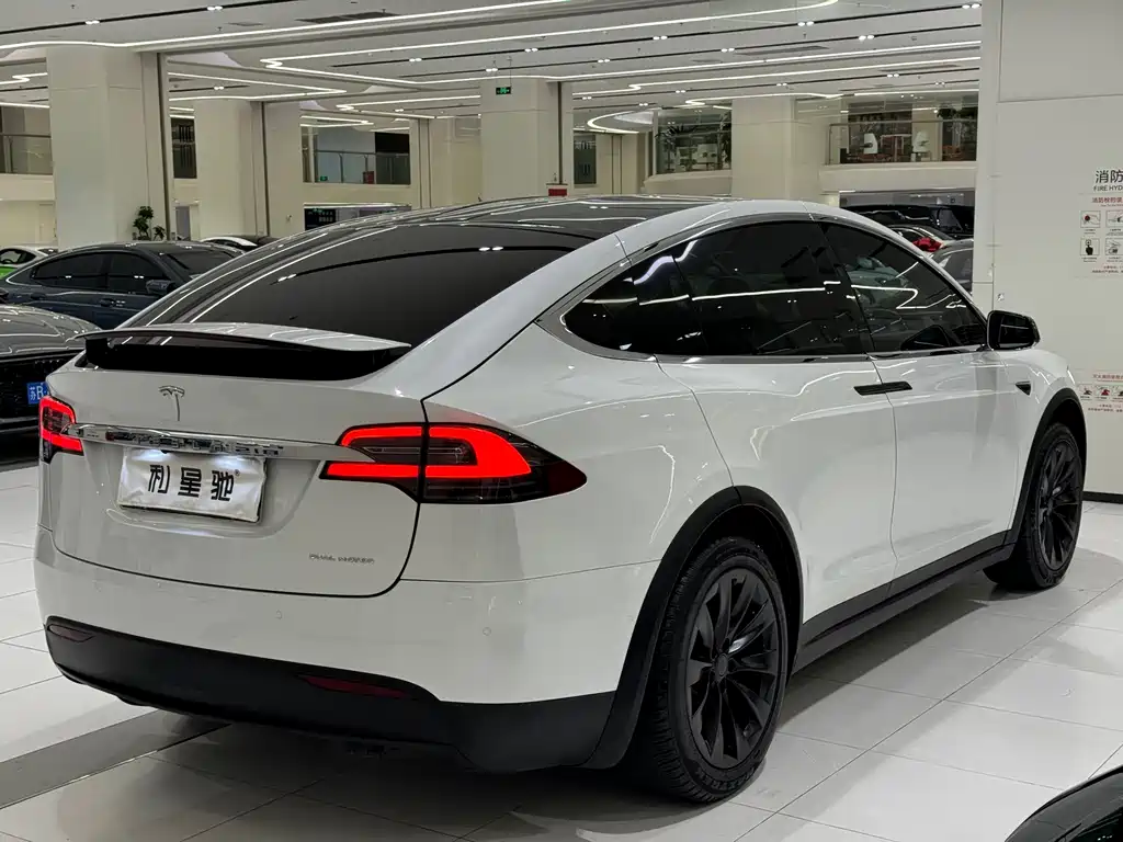 Tesla Model X — миниатюра 19