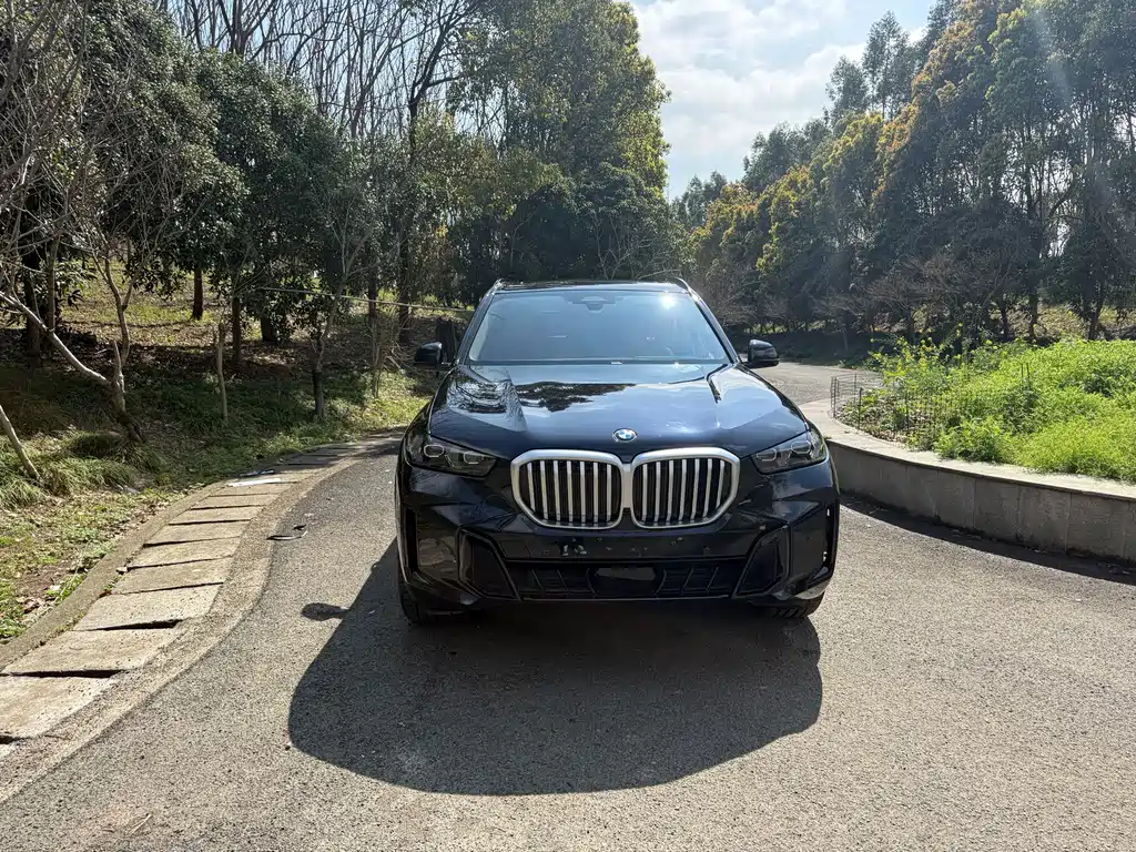 BMW X5 2024