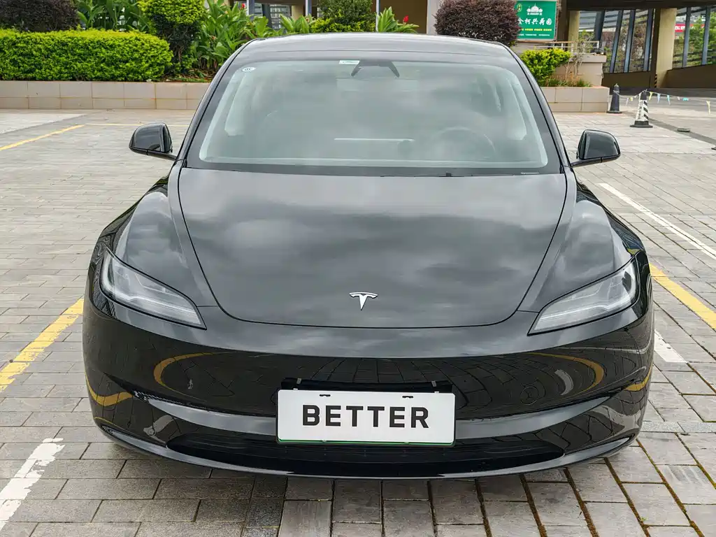 Tesla Model 3 — миниатюра 4