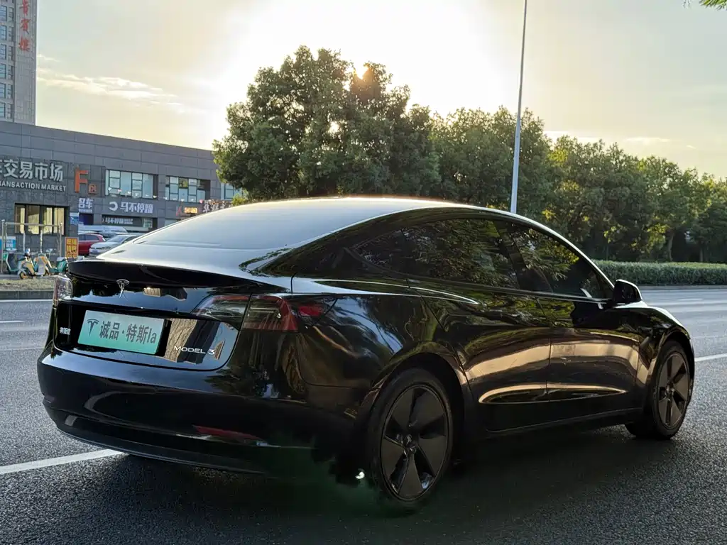 Tesla Model 3 — миниатюра 5
