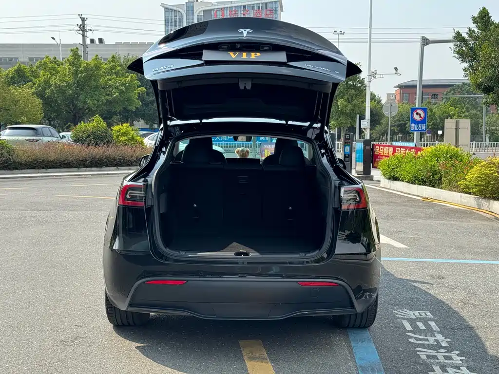 Tesla Model Y — миниатюра 11