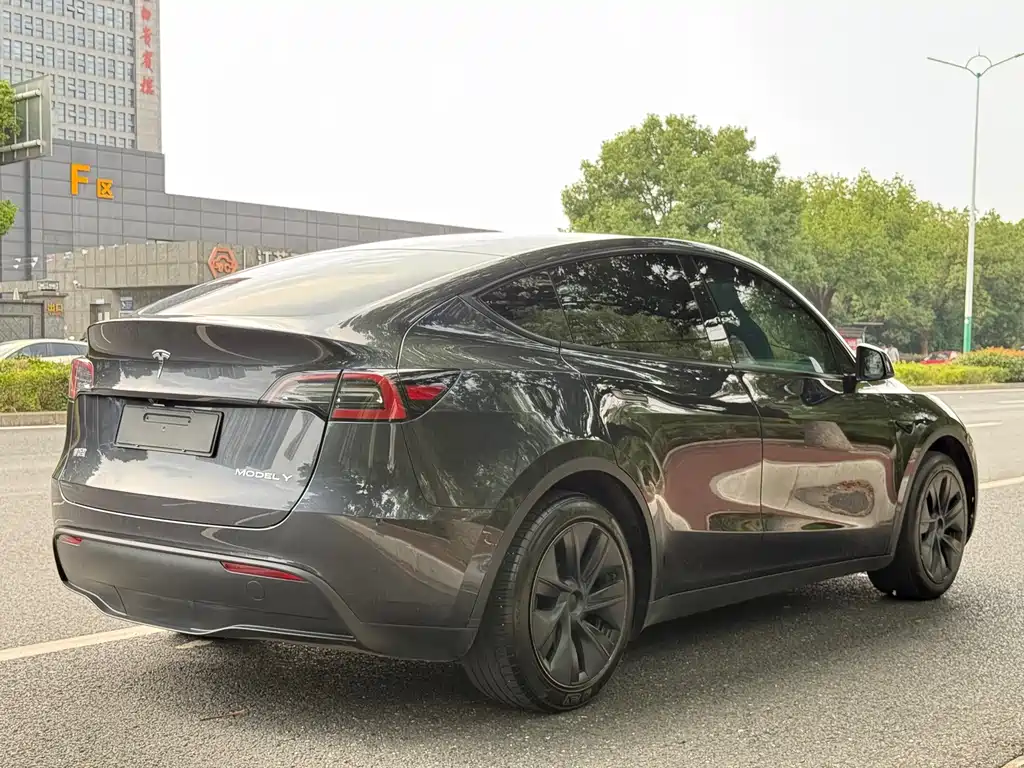 Tesla Model Y — миниатюра 5