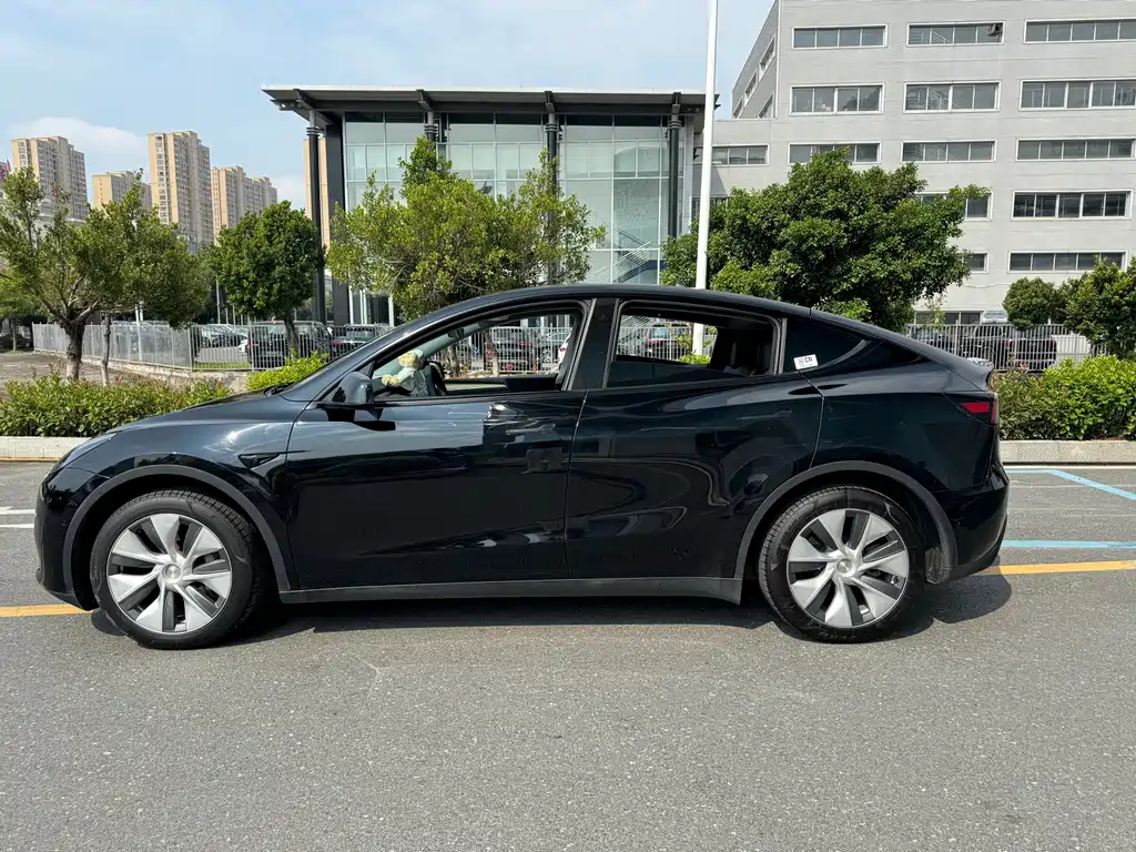 Tesla Model Y — миниатюра 12