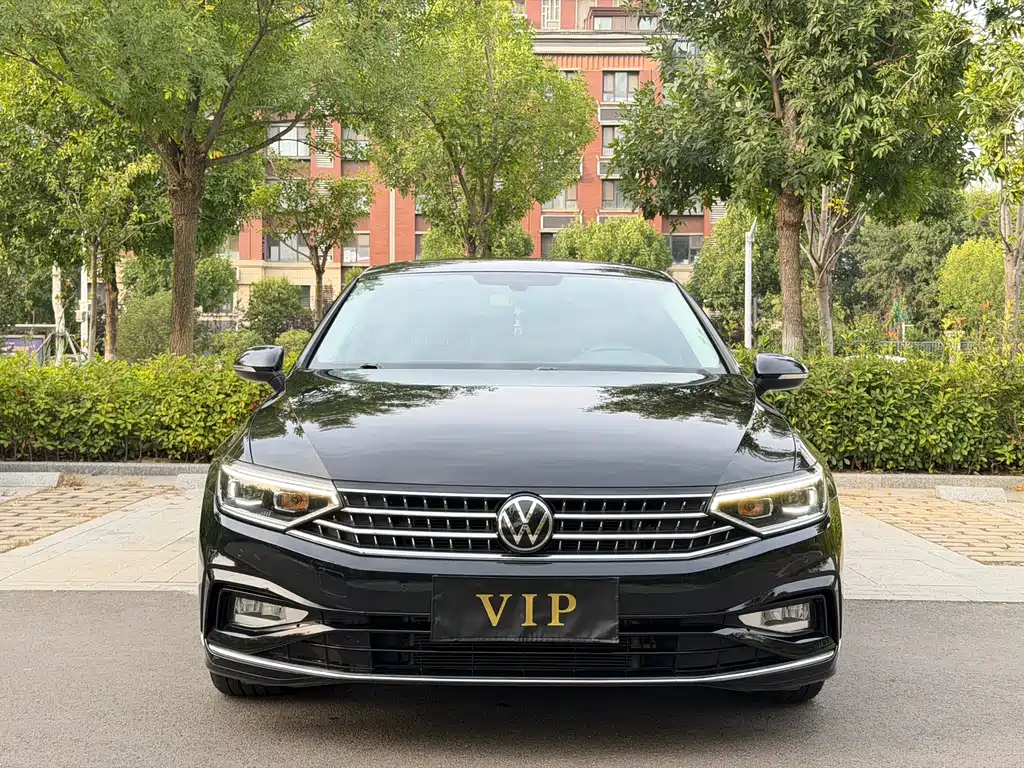 Volkswagen Magotan — миниатюра 2