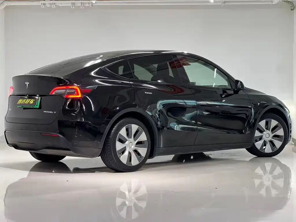 Tesla Model Y — миниатюра 8