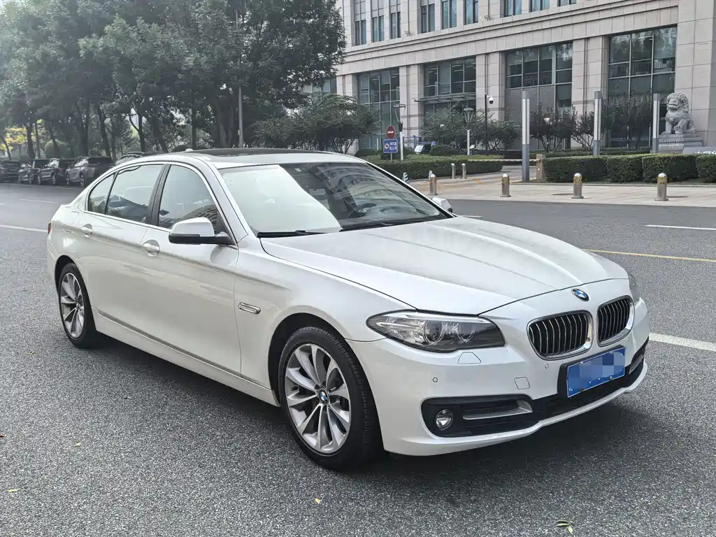 BMW 5 Series 5 2014 528Li Lead