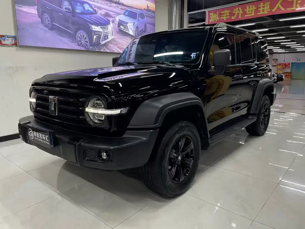 Tank 300