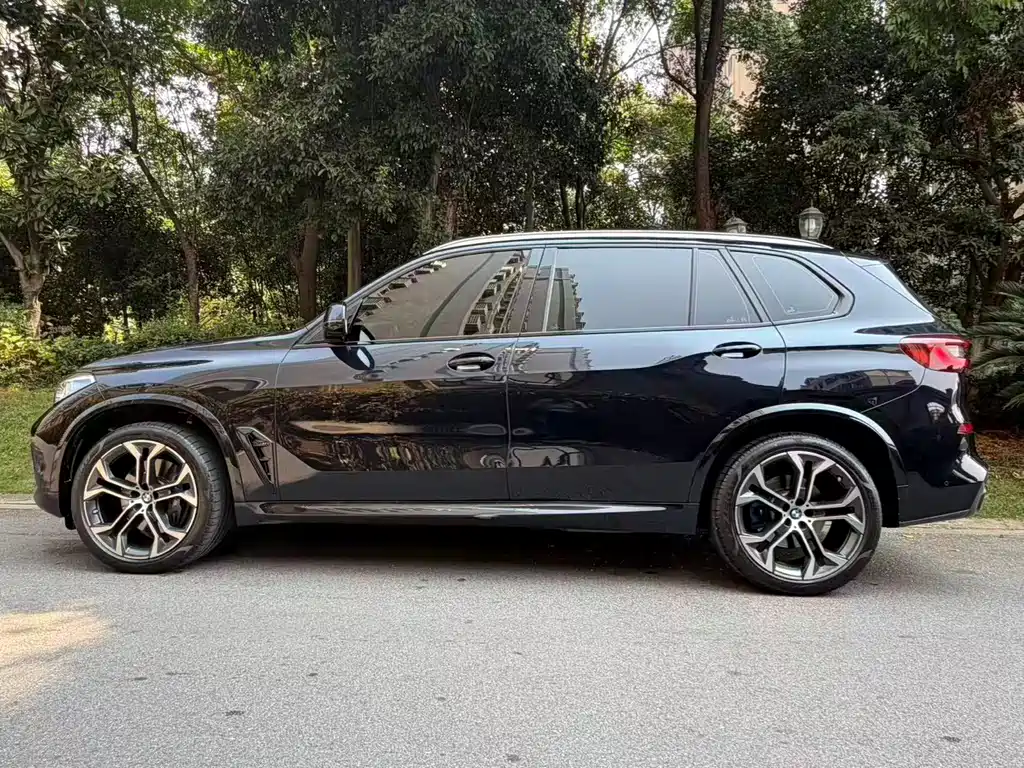 BMW X5 — миниатюра 3