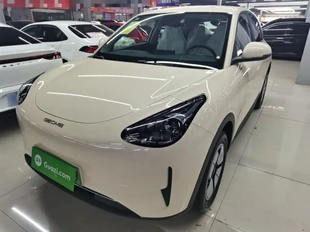 Geely Geome Xingyuan 2026 310km