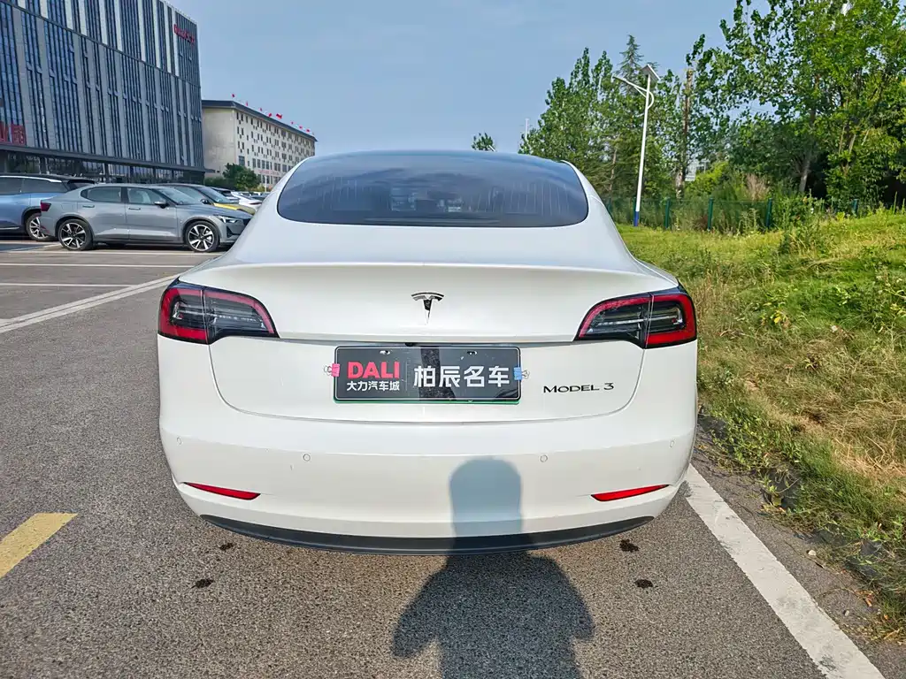 Tesla Model 3 — миниатюра 5