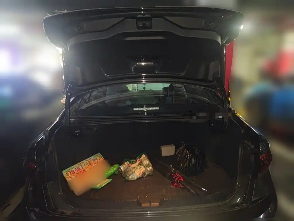 Volkswagen Sagitar — миниатюра 15