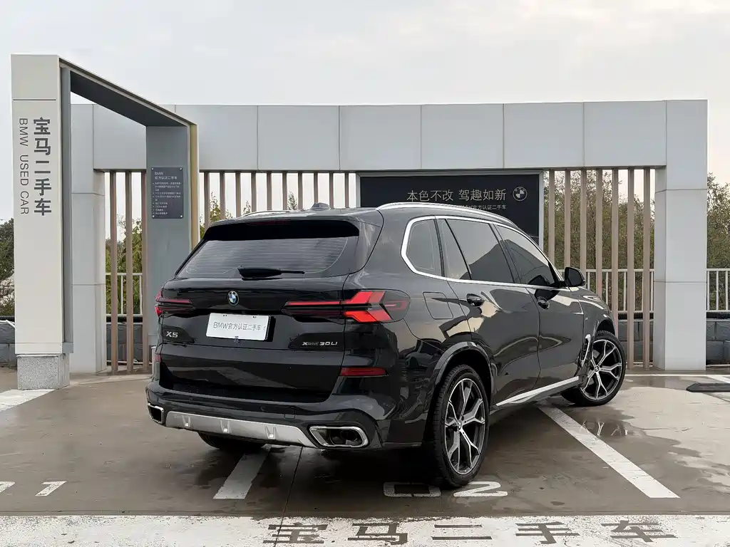 BMW X5 — миниатюра 10