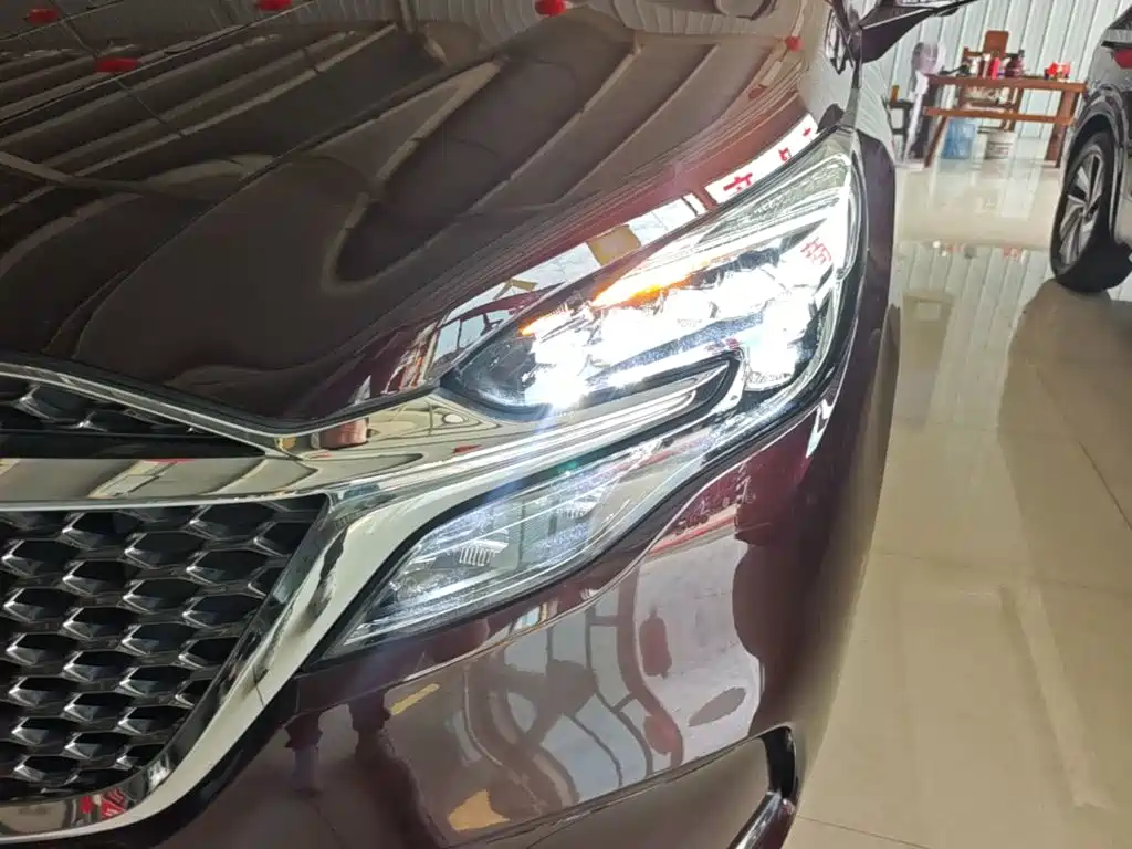 Buick GL8 — миниатюра 24