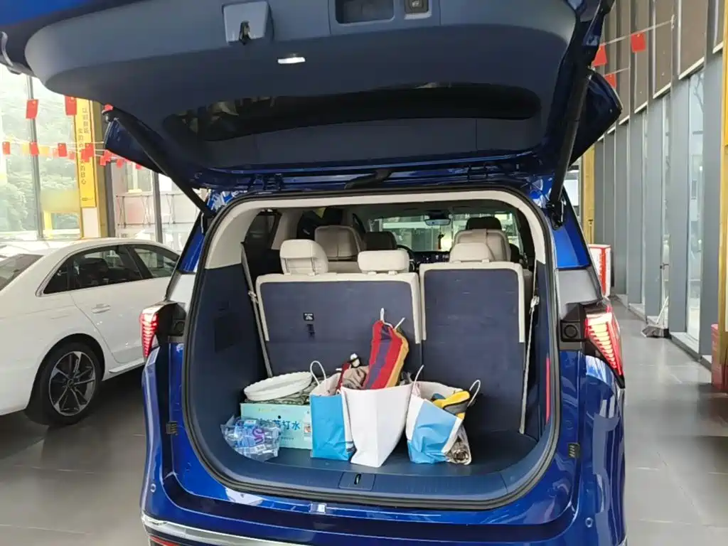 Buick GL8 Hybrid — миниатюра 19