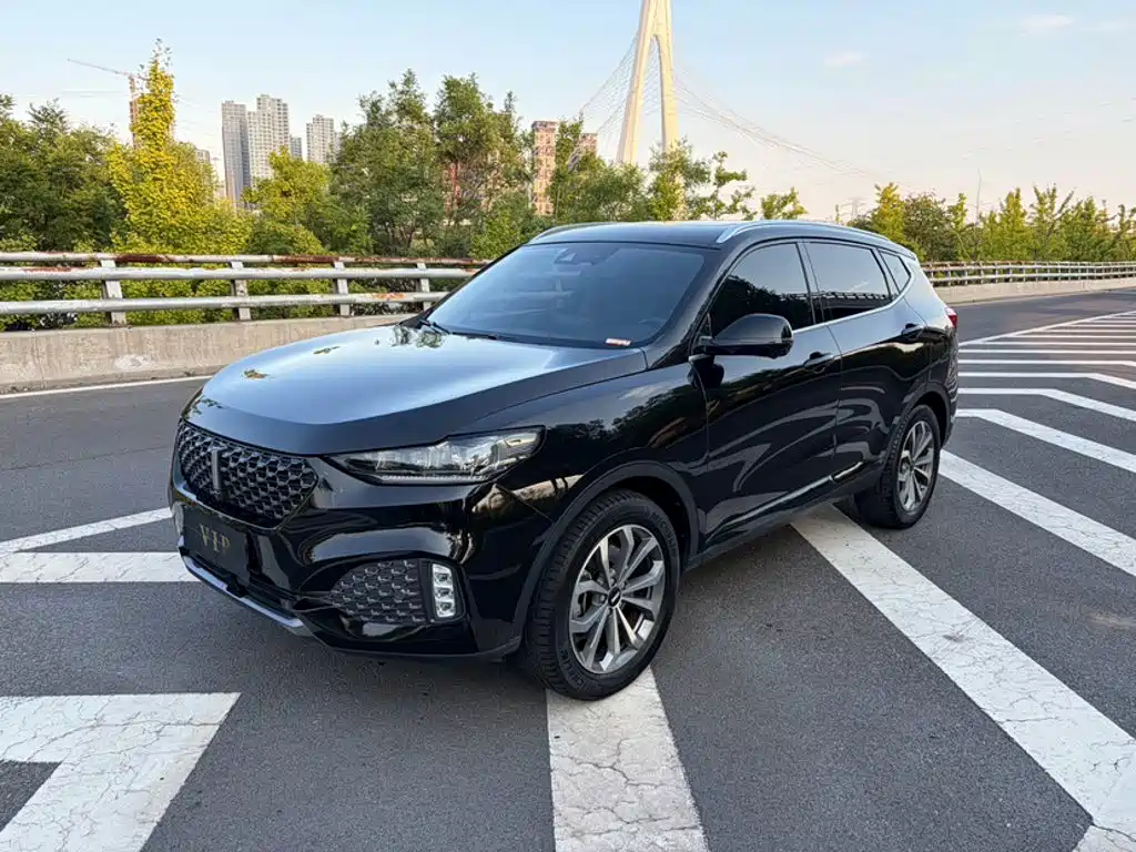 Wey Wey VV6 — миниатюра 2