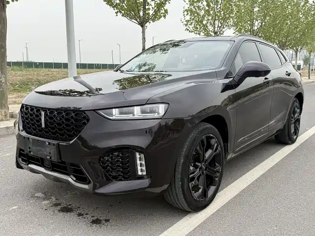 2019 Wey VV7