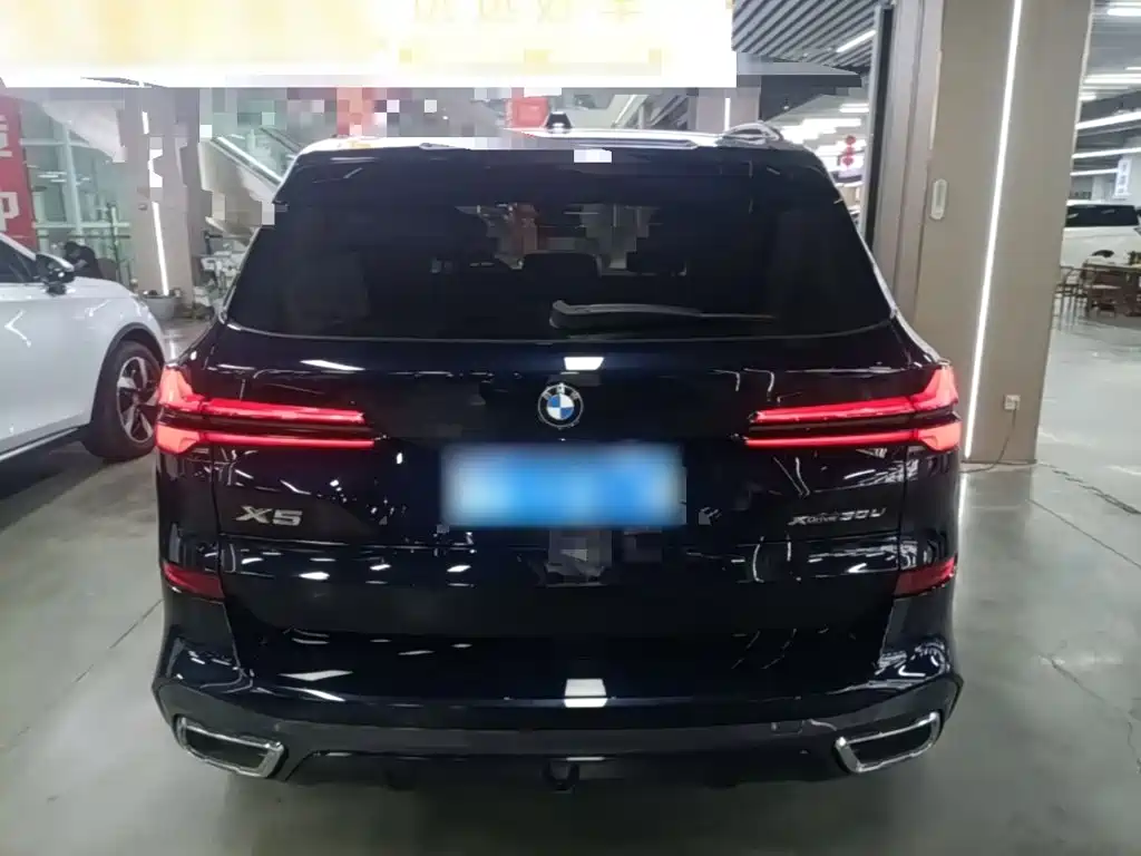 BMW X5 — миниатюра 6