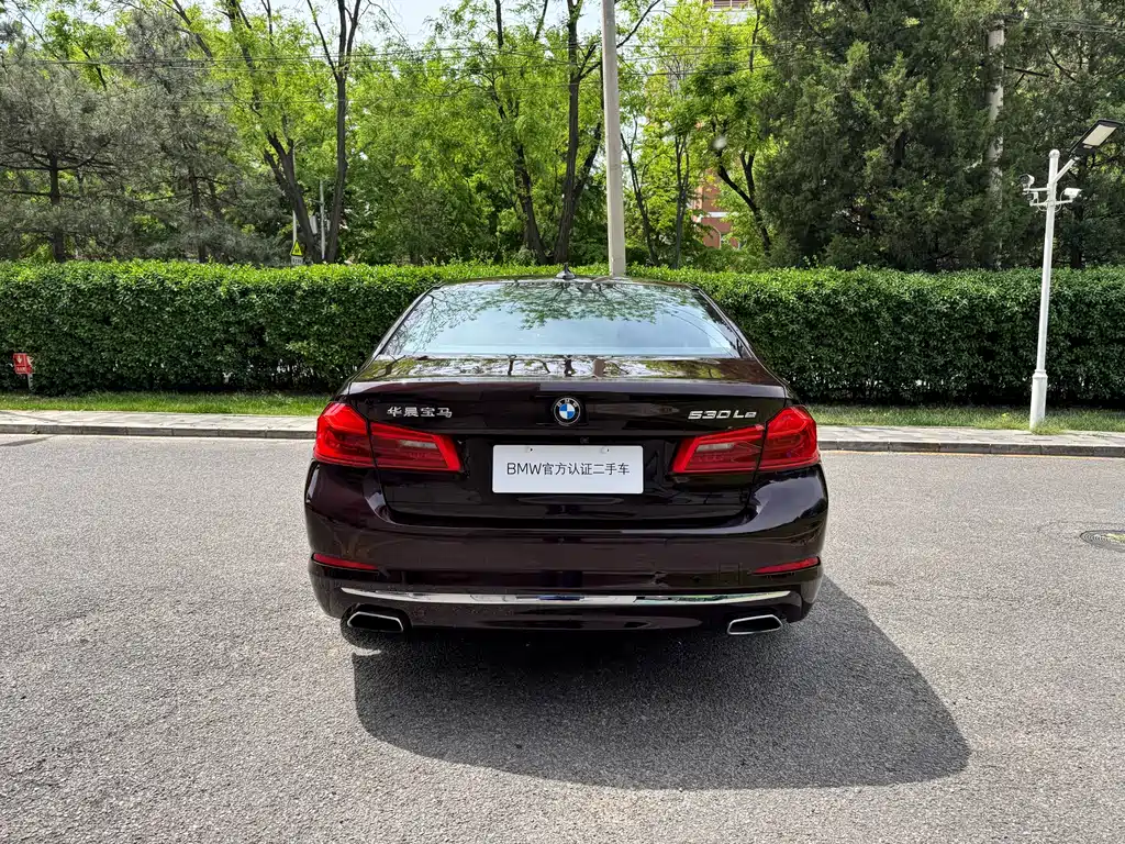BMW 5 Series 5 2019 530Le Luxury