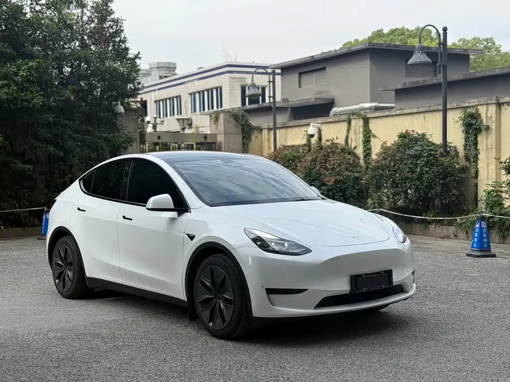 Tesla Model Y — миниатюра 3