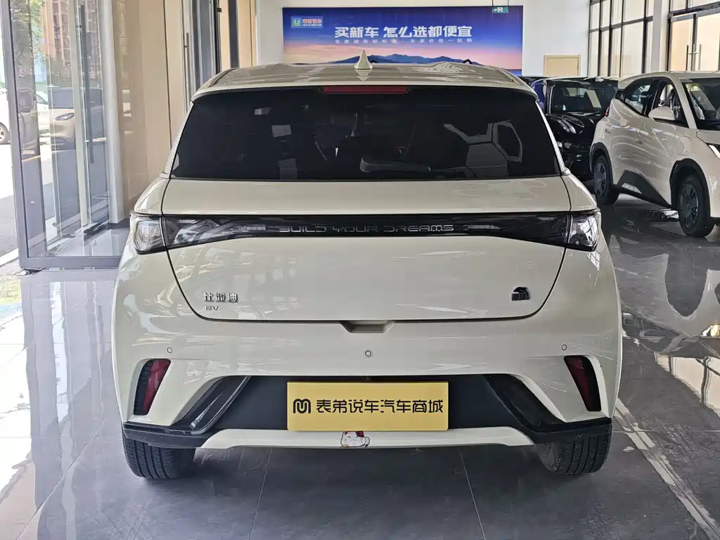 BYD Dolphin 2023 420km Fashion