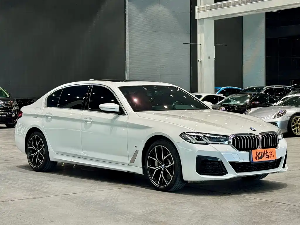 BMW 5 SERIES