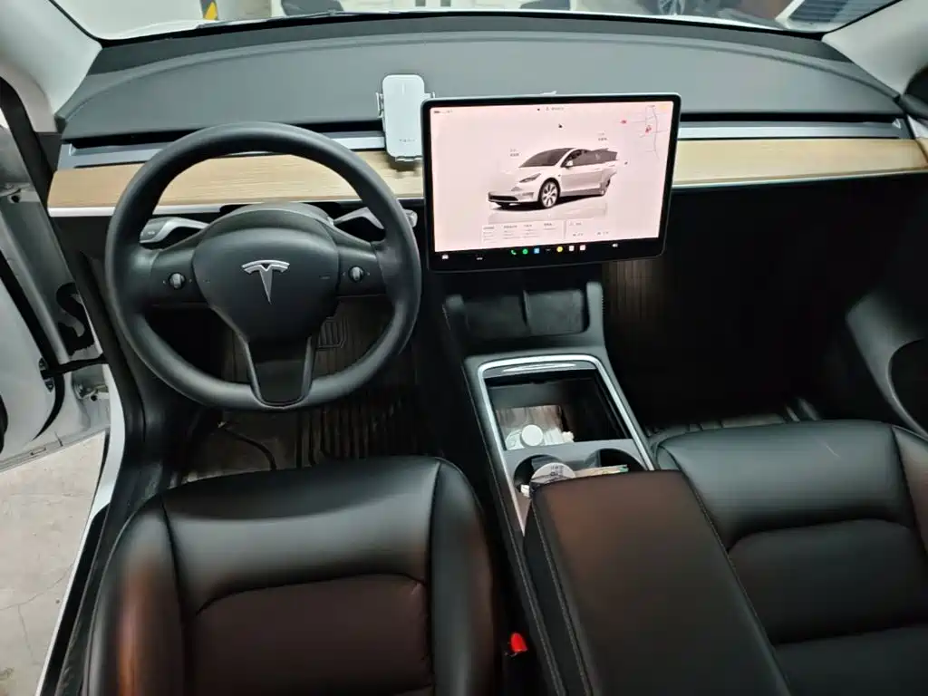 Tesla Model Y — миниатюра 10