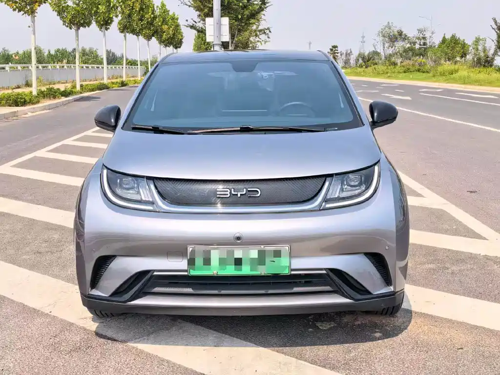 BYD Dolphin — миниатюра 2