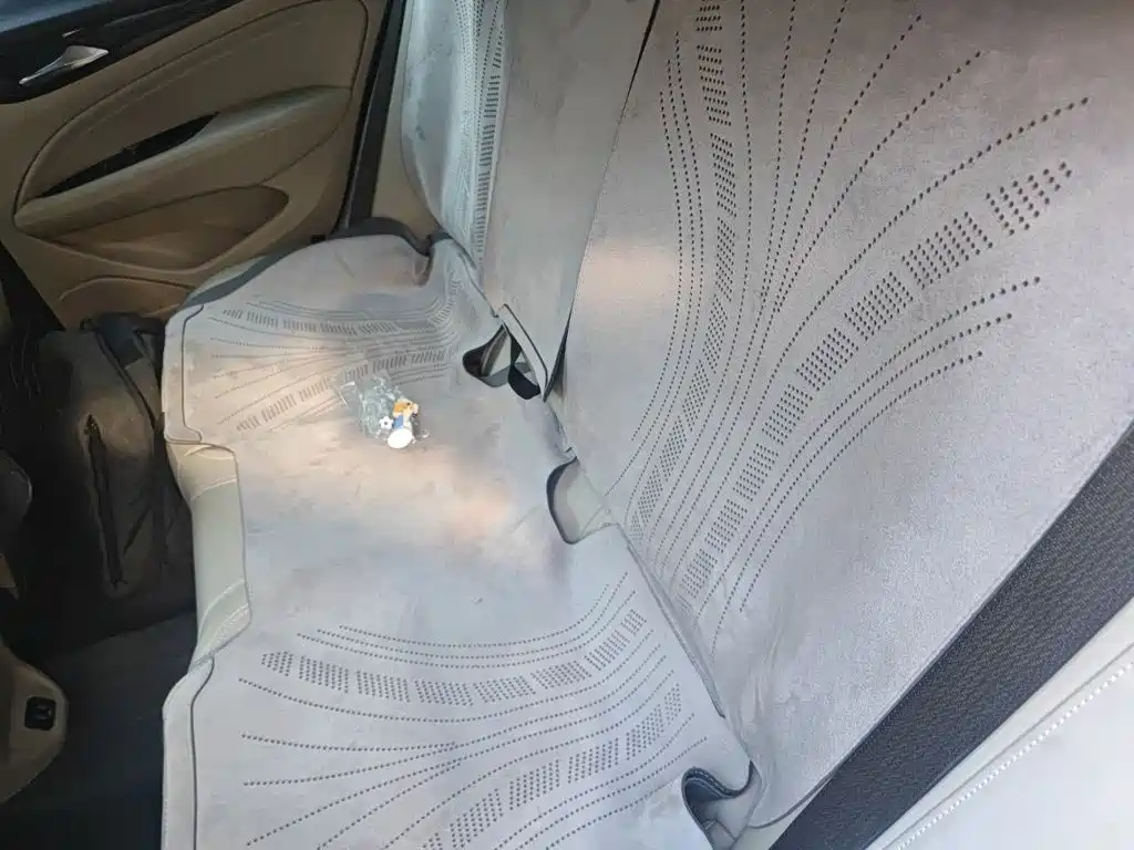 Buick Regal — миниатюра 18