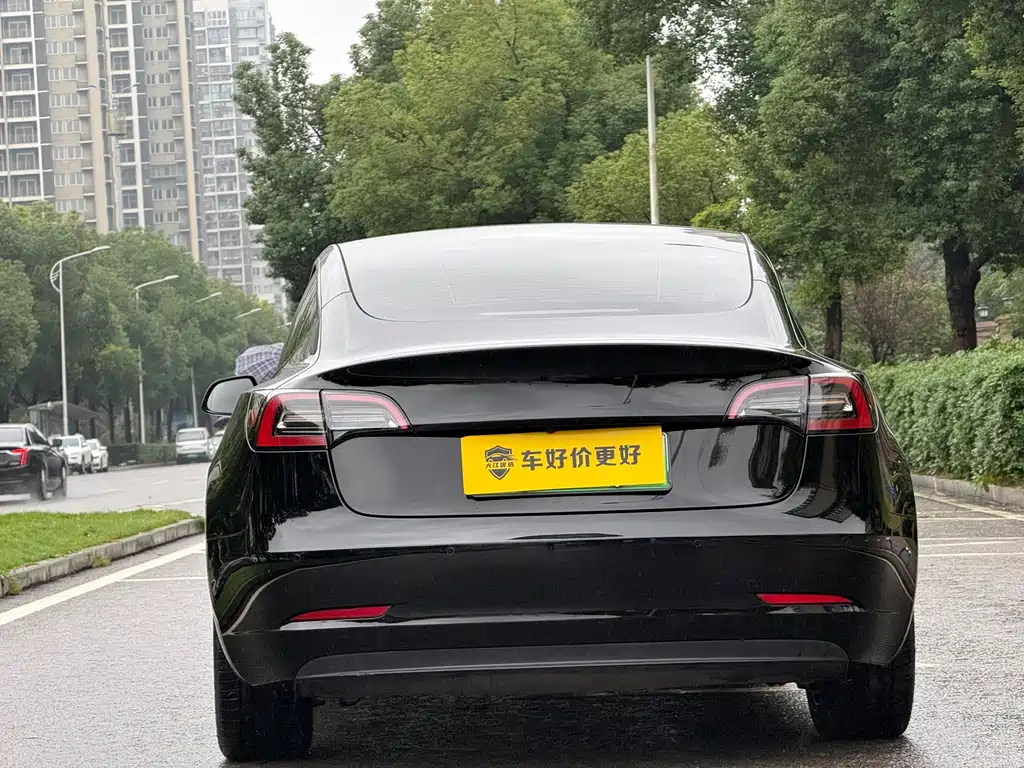 Tesla Model 3 — миниатюра 13
