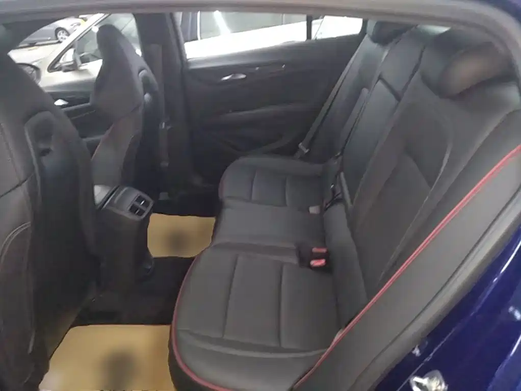 Buick Regal — миниатюра 17