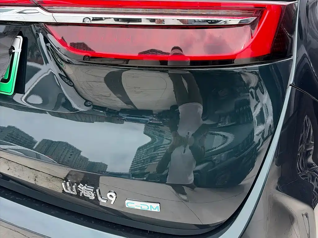 Shanhai Shanhai L9 — миниатюра 5