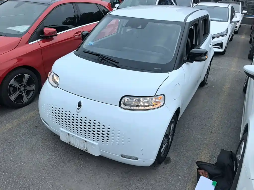 2020 Ora R2/White Cat - zdjęcie 1 z 25