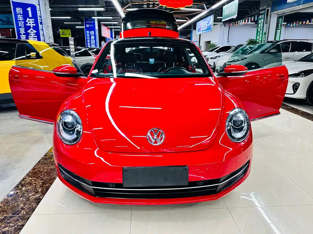 Volkswagen Beetle — миниатюра 27