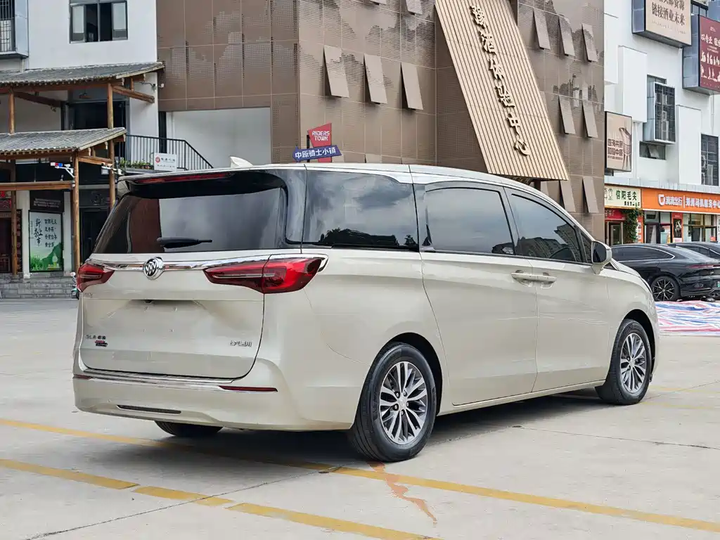 Buick GL8 — миниатюра 12