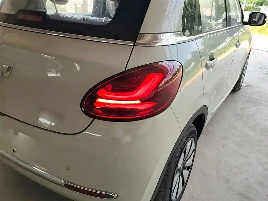 Wuling Binguo 2024 333km Enjoy