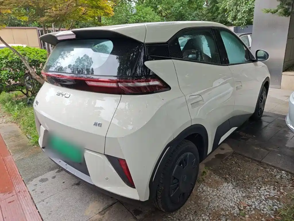 BYD Seagull 2025 305km