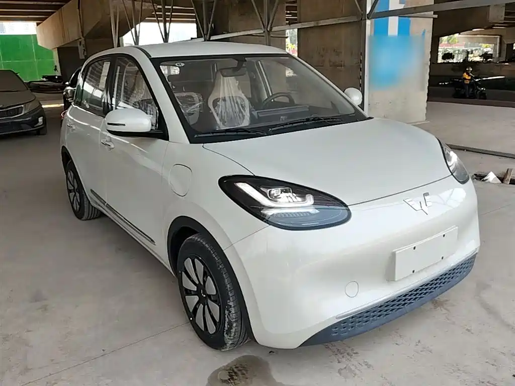 Wuling Binguo 2024 333km Enjoy