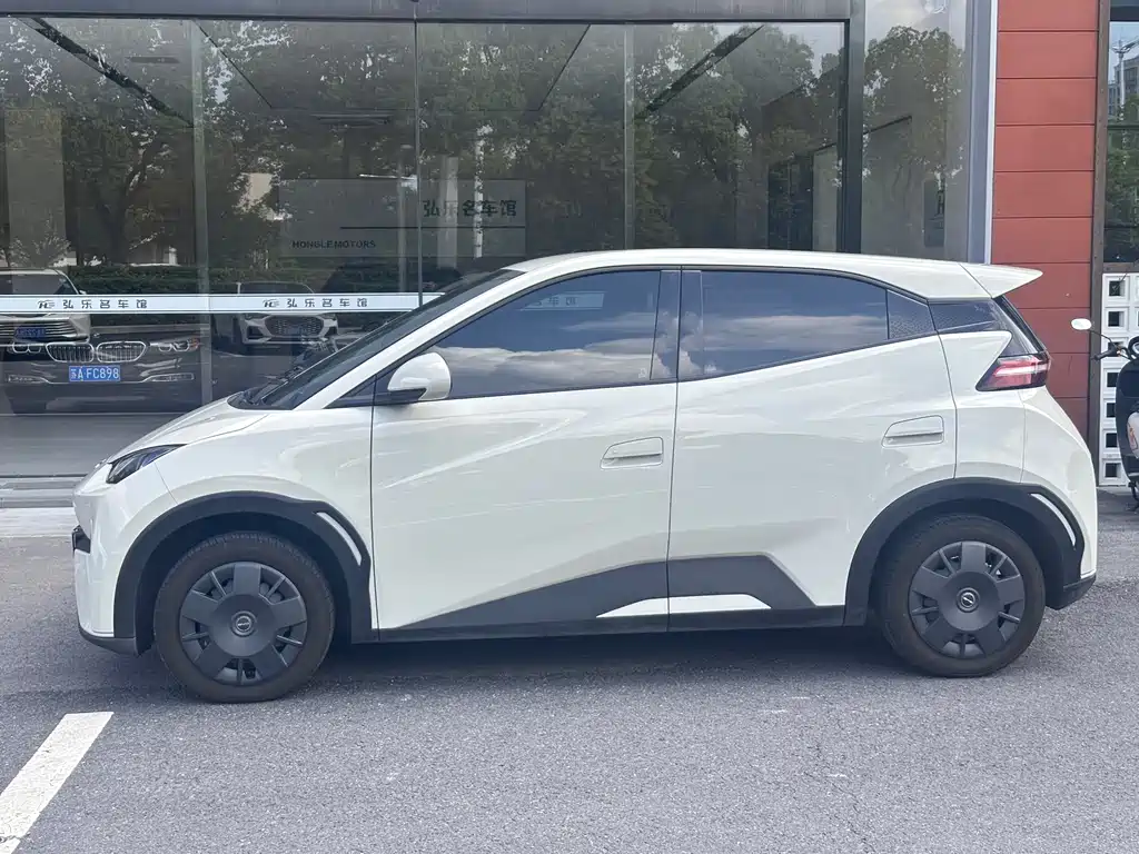 BYD Seagull