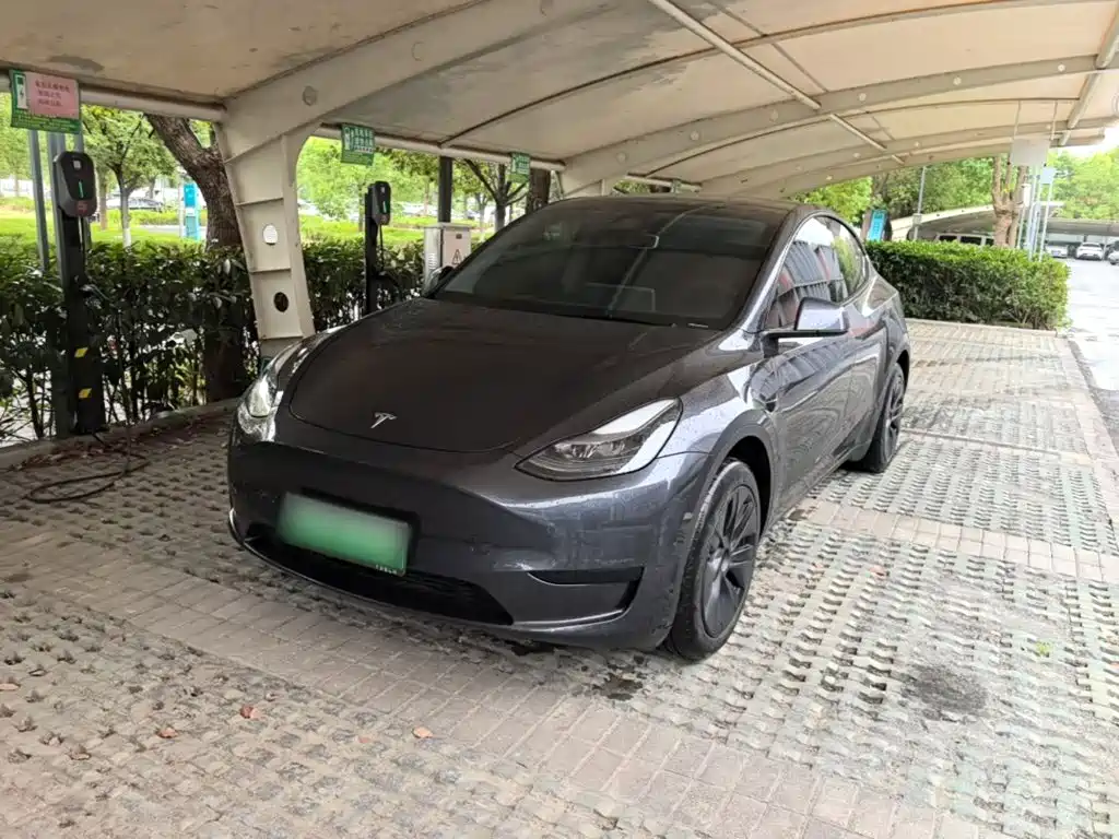 Tesla Model Y — миниатюра 2