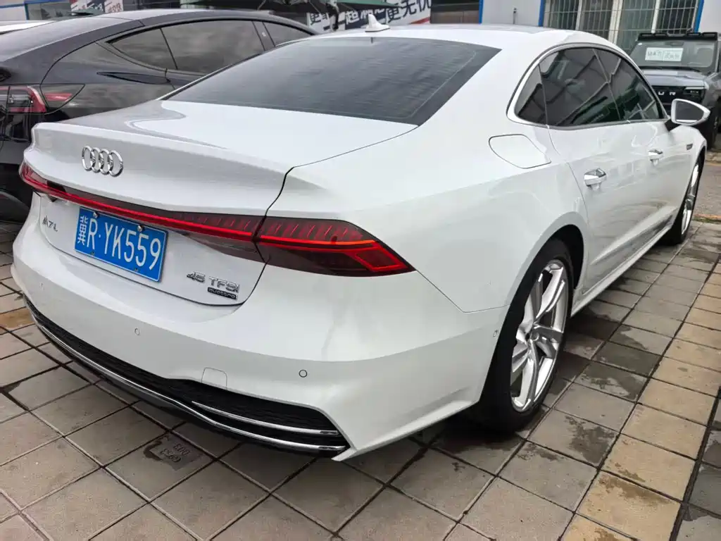 Audi A7L 45 TFSI quattro S-line Shadow Warrior Edition, фото 4