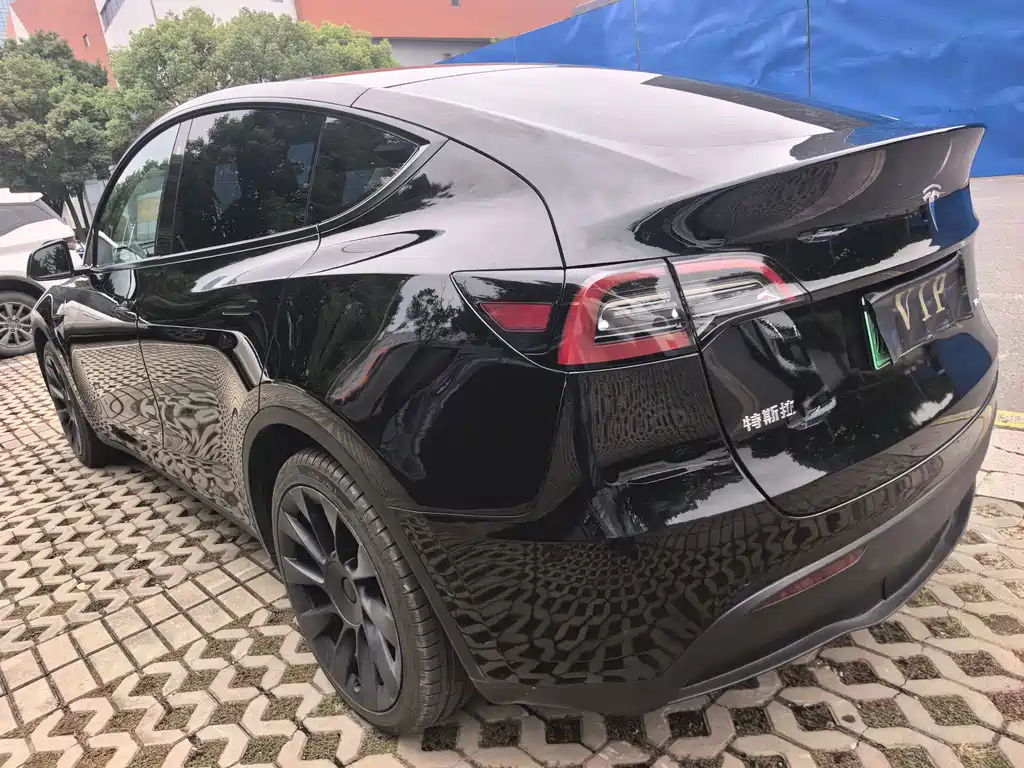 Tesla Model Y — миниатюра 6